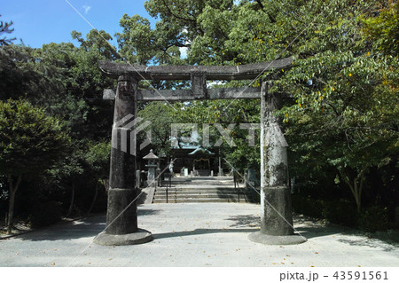 佐賀　與止日女神社鳥居 43591561