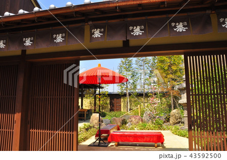 宇治橋通り商店街の宇治茶店庭園 43592500