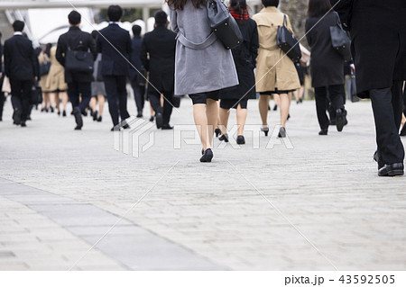 スーツの女性の風景 スーツの女性の風景 43592505
