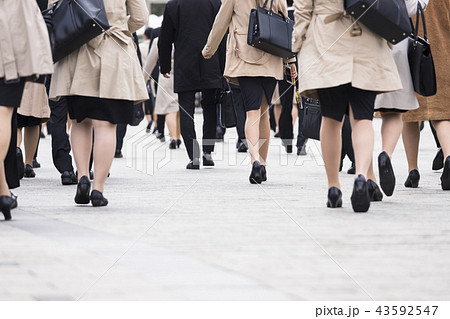 スーツの女性の風景 43592547