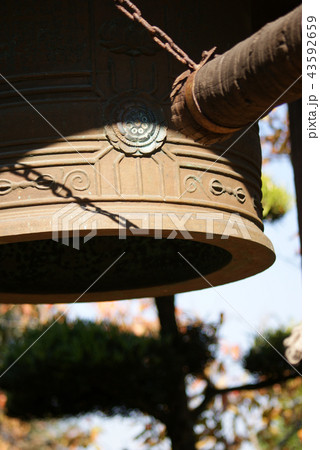 鳥取 四季の散歩 秋 紅葉 東光寺 鳥取 四季の散歩 秋 紅葉 東光寺 43592659