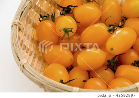 イエローミニトマト(アイコ) イエローミニトマト(アイコ) 43592997