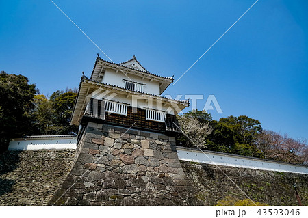 大村城址　桜 43593046