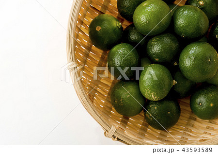 シークヮーサー 43593589