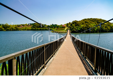 大分農業文化公園 吊り橋 大分農業文化公園 吊り橋 43593635