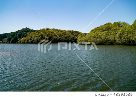 大分農業文化公園 吊り橋 大分農業文化公園 吊り橋 43593639