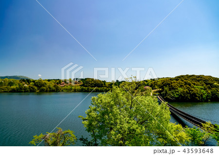 大分農業文化公園　吊り橋 43593648