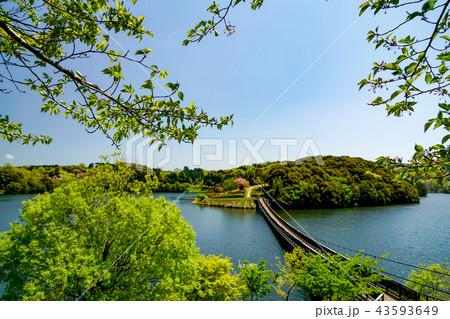 大分農業文化公園 吊り橋 大分農業文化公園 吊り橋 43593649