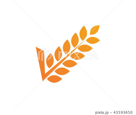 rice food meal logo and symbols rice food meal logo and symbols 43593650