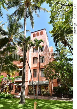 ハワイの休日 43593746