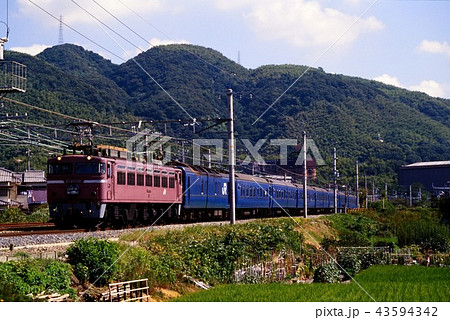 1994年　東海道線を走るEF81108ブルートレイン24系日本海4号 43594342