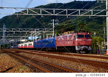 1994年　東海道線を走るEF81105快速ムーンライト八重垣 43594345