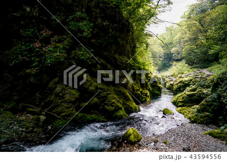 天岩戸神社 五ヶ瀬川 天岩戸神社 五ヶ瀬川 43594556