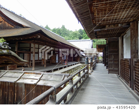 西教寺　本堂から客殿を望む 43595420