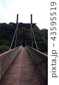 吊り橋 43595519