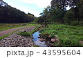 公園の小川 43595604