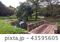 公園の小川 43595605