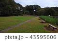 公園の広場 43595606