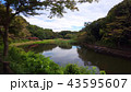 公園の池 43595607