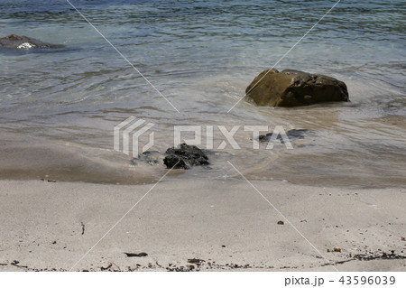 海岸の波 43596039