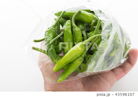 ししとう 43596107