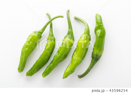 ししとう 43596254