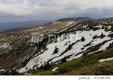 春の芳ヶ平湿地群（志賀高原）／群馬県吾妻郡中之条町 43596396