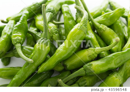 ししとう 43596548