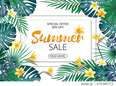 Summer sale Concept. Summer background with tropical flowers and leaf. Template Vector. 43596573