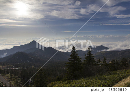 志賀高原の雲海/長野県山ノ内町 志賀高原の雲海/長野県山ノ内町 43596619