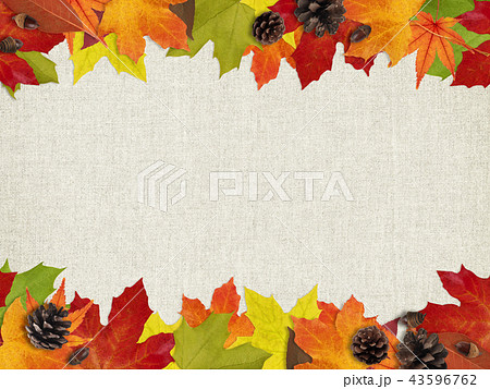 背景 秋 落ち葉 木の実のイラスト素材