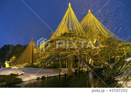 兼六園ライトアップ【冬の段】 43597202