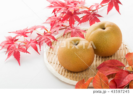 豊水梨 豊水梨 43597245