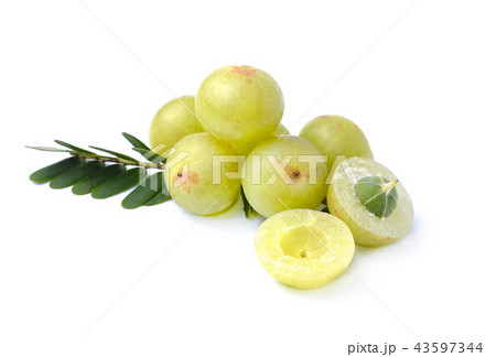 Indian gooseberries on white background Indian gooseberries on white background 43597344