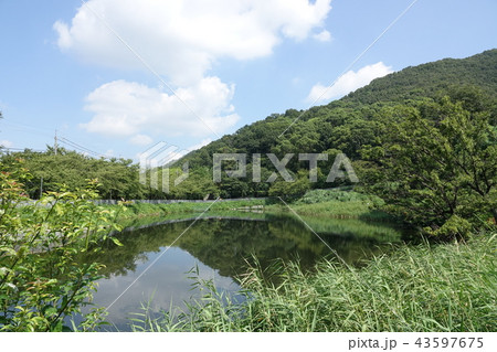 ほたるの里・日下新池・日下公園 ほたるの里・日下新池・日下公園 43597675