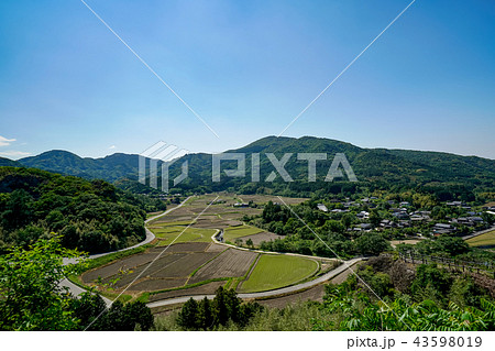田染荘　田園 43598019