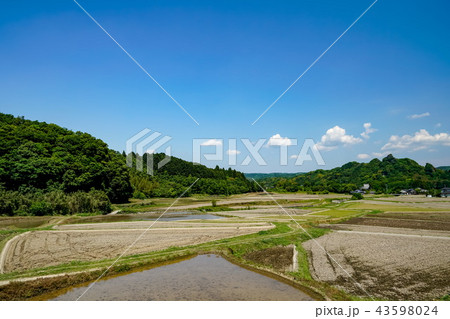 田染荘　田園 43598024
