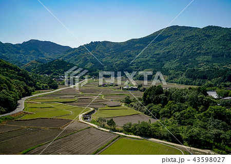 田染荘　田園 43598027
