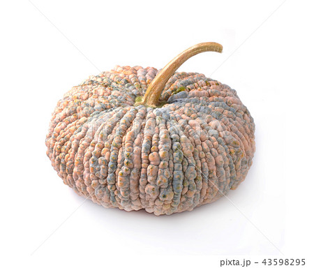 Pumpkins isolated on white background 43598295