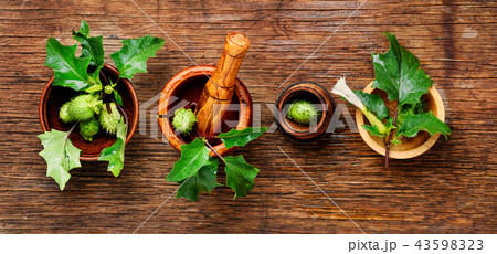 Natural herbs medicine,datura 43598323