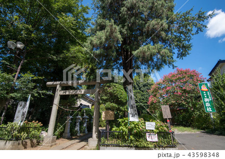 御嶽社　与野　さいたま市 43598348