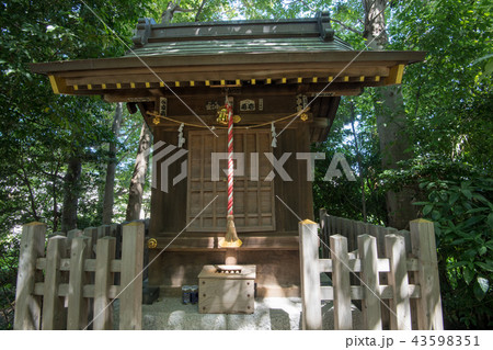 御嶽社 与野 さいたま市 御嶽社 与野 さいたま市 43598351