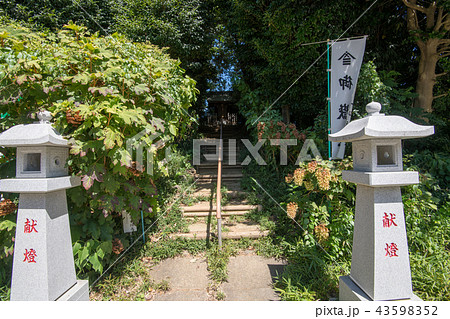 御嶽社　与野　さいたま市 43598352