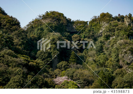 天念寺　無明橋 43598873