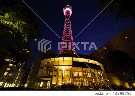 横浜マリンタワーの夜景 43599750