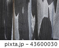 wood isolated background. 43600030
