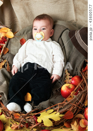 autumn concept - child boy lie on yellow leaves autumn concept - child boy lie on yellow leaves 43600577