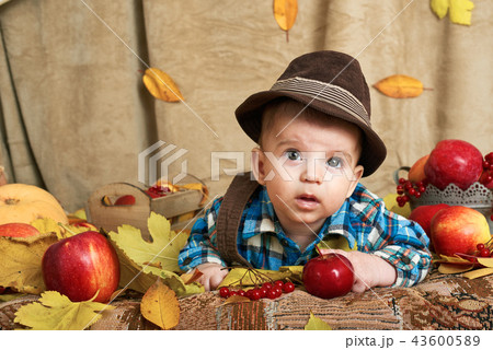 autumn concept - child boy lie on yellow leaves autumn concept - child boy lie on yellow leaves 43600589