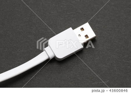 USB 端子 USB 端子 43600846