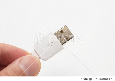USB　端子　 43600847